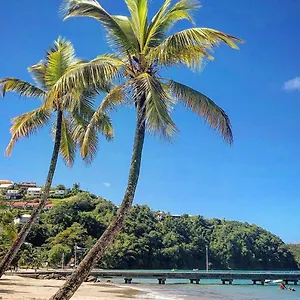 Superbe T2 De Standing, à L'anse à L'âne, à 5mn à Pied Des Plages Les Trois-Ilets
